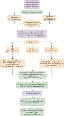 Design of a multi-epitope vaccine against six Nocardia species based on reverse vaccinology combined with immunoinformatics